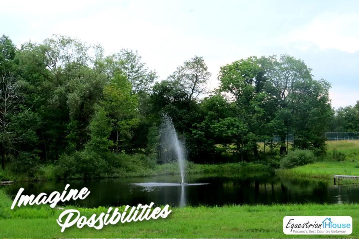 Away From The - Premium Andalusian- 35 Off Promo! * Pleasant Mount
